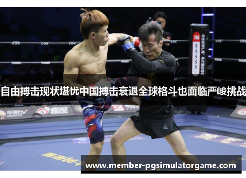 自由搏击现状堪忧中国搏击衰退全球格斗也面临严峻挑战