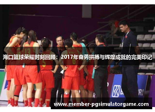 海口篮球荣耀时刻回顾：2017年奋勇拼搏与辉煌成就的完美印记