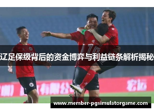 辽足保级背后的资金博弈与利益链条解析揭秘