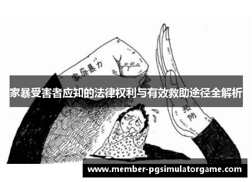 家暴受害者应知的法律权利与有效救助途径全解析