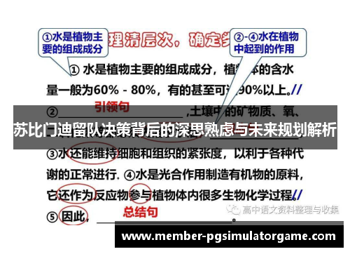 苏比门迪留队决策背后的深思熟虑与未来规划解析
