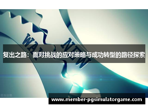复出之路：面对挑战的应对策略与成功转型的路径探索