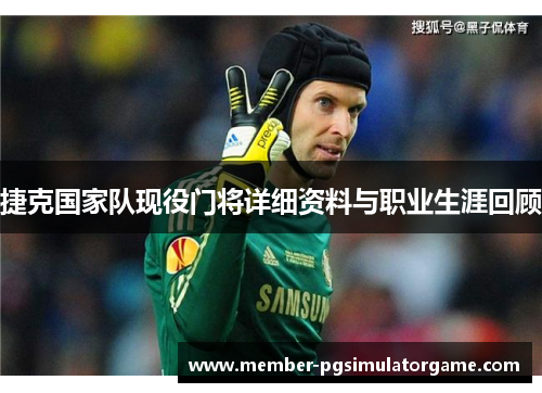 捷克国家队现役门将详细资料与职业生涯回顾