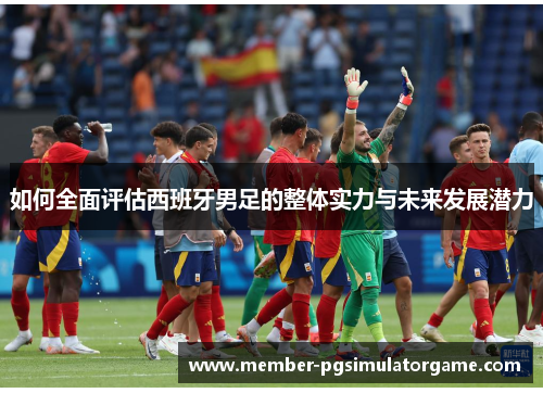 如何全面评估西班牙男足的整体实力与未来发展潜力