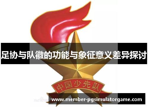 足协与队徽的功能与象征意义差异探讨