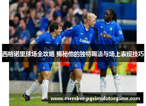 西格诺里球场全攻略 揭秘他的独特踢法与场上表现技巧