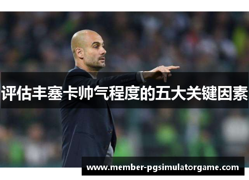 评估丰塞卡帅气程度的五大关键因素