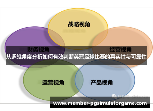 从多维角度分析如何有效判断英冠足球比赛的真实性与可靠性