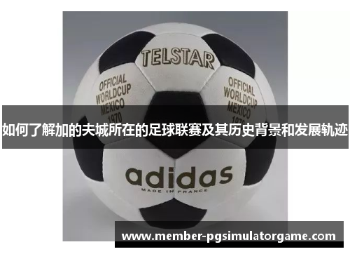 如何了解加的夫城所在的足球联赛及其历史背景和发展轨迹